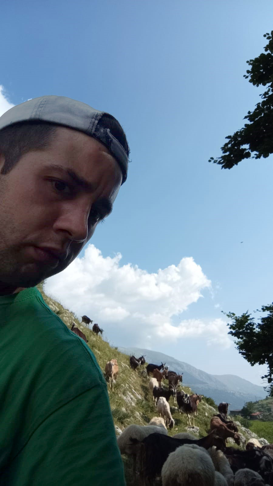 Giovanni al pascolo con le capre